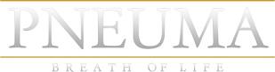 Pneuma: Breath of Life (2015) (RePack от xGhost) PC