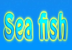 Sea Fish (2013) PC