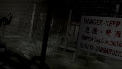 Scarred (2025) на PC