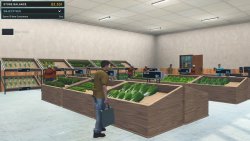 Hydroponics Farm & Store Simulator (2025) на PC