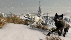 WolfQuest: Anniversary Edition (Лицензия/2025) на ПК