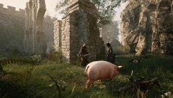 Morgenstern (2025) - Лицензия