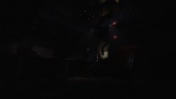 Dimmed Light (2025) - Лицензия