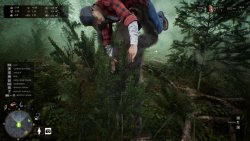 Bigfoot Life (2025) - RePack от FitGirl