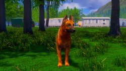 Lost Paws (2025) - RePack от FitGirl