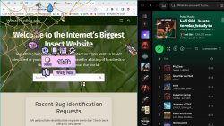 My Little Spider (2025)