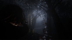 Cult of Dawn (2026)
